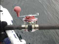 Cod Fishing30